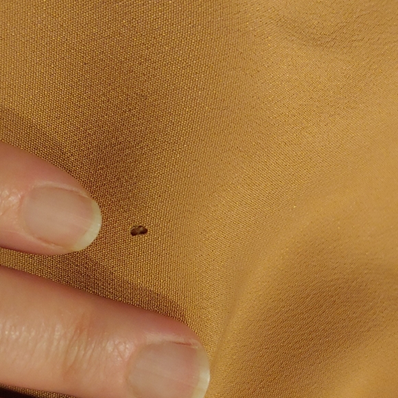 🎉HOST PICK!🎉Vintage Wool Jacket with Mink Collar - Picture 4 of 7